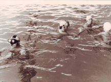 IMAGE0005