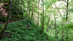 Wanderung 6