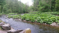 Wanderung 8