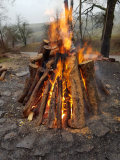 IMG-20190105-WA0000